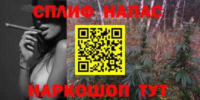 гидра Берёзовский