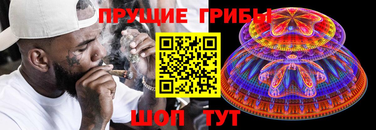 где можно купить   Вход с VPN  Псилоцибиновые грибы GOLDEN TEACHER  Ковров  Псилоцибиновые грибы GOLDEN TEACHER 
